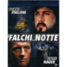 I FALCHI DELLA NOTTE (1980)