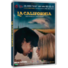 LA CALIFORNIA REGIA CINZIA BOMOLL