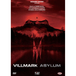 VILLMARK ASYLUM