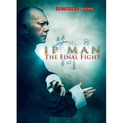 IP MAN THE FINAL FIGHT  (2013)