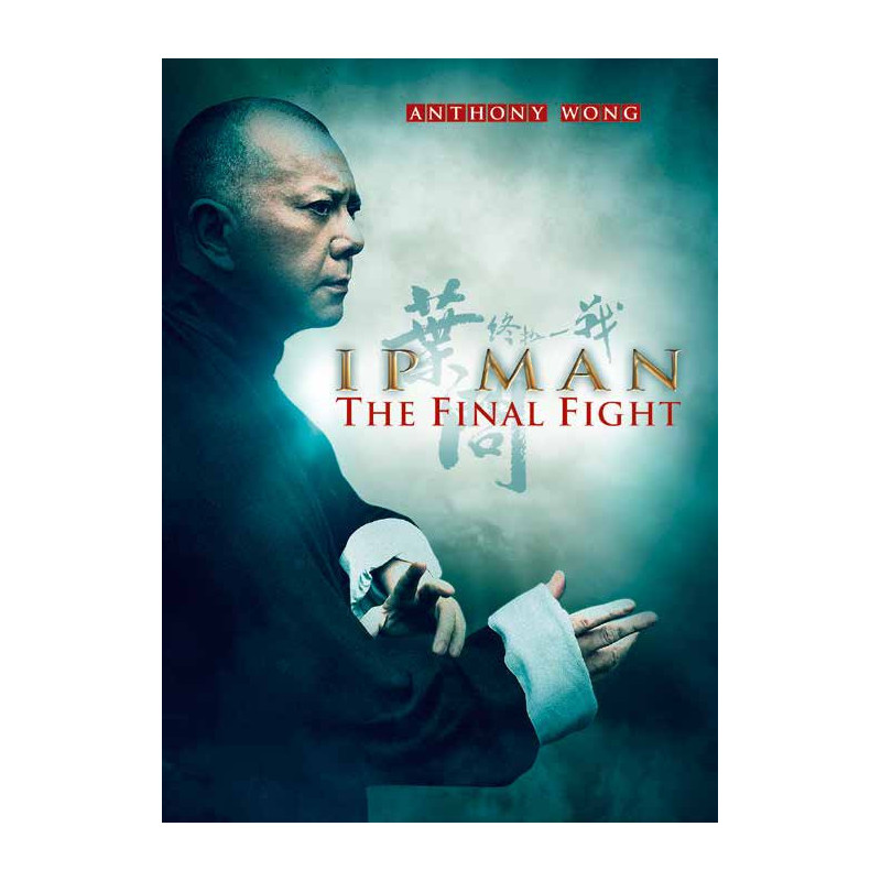 IP MAN THE FINAL FIGHT  (2013)