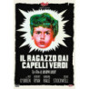 RAGAZZO DAI CAPELLI VERDI (IL)