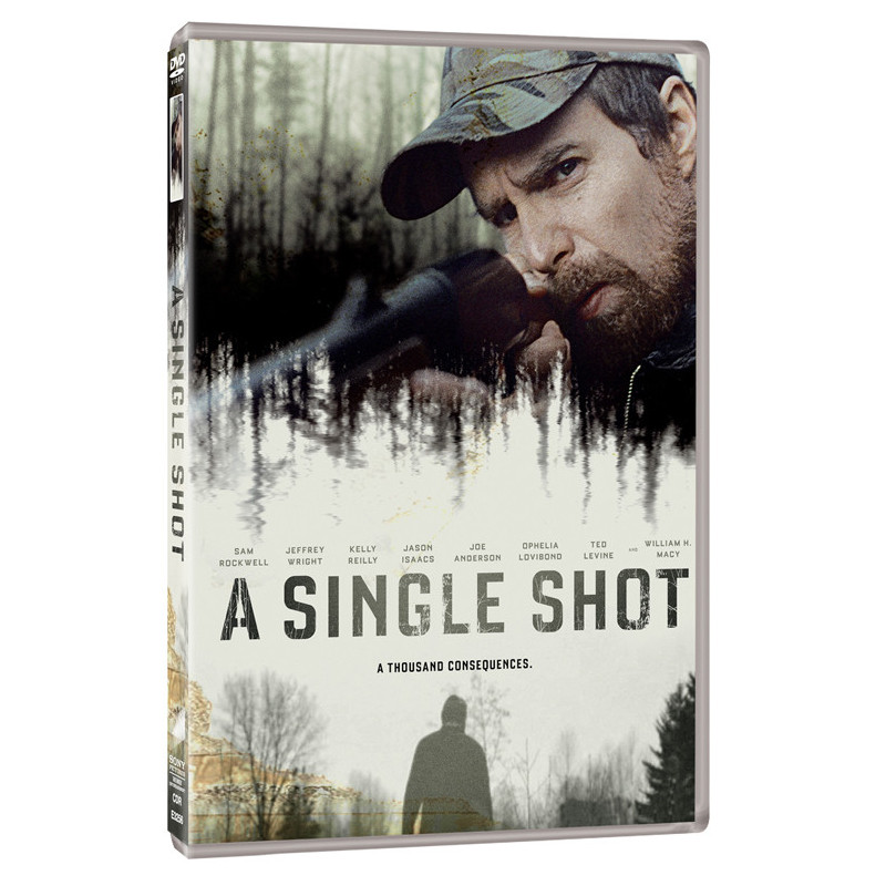 A SINGLE SHOT   (UK2013)