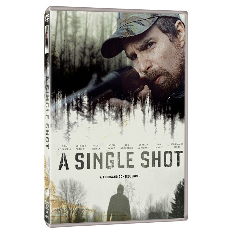 A SINGLE SHOT   (UK2013)