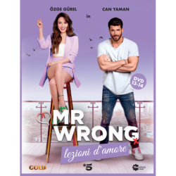 MR WRONG - LEZIONI D'AMORE 07 (2 DVD)