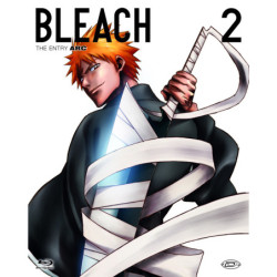 BLEACH - ARC 2: THE ENTRY...