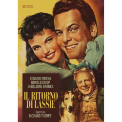 RITORNO DI LASSIE (IL)