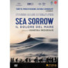 IL DOLORE DEL MARE - SEA SORROW - DVD    REGIA VANESSA REDGRAVE