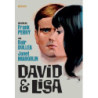 DAVID E LISA