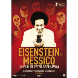 EISENSTEIN IN MESSICO - DVD