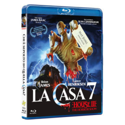 CASA 7 (LA) - HOUSE III
