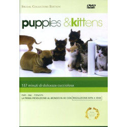PUPPIES & KITTENS (SPECIAL COLLE