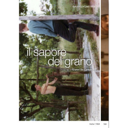 SAPORE DEL GRANO (IL)