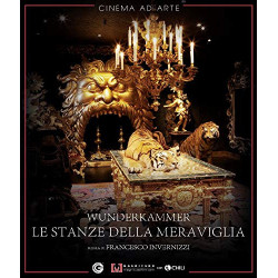 LA STANZA DELLE MERAVIGLIE - BLU-RAY