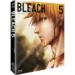 BLEACH - ARC 5: THE ASSAULT...