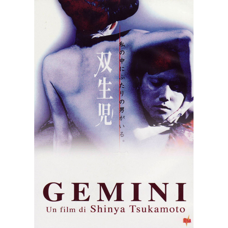 GEMINI T