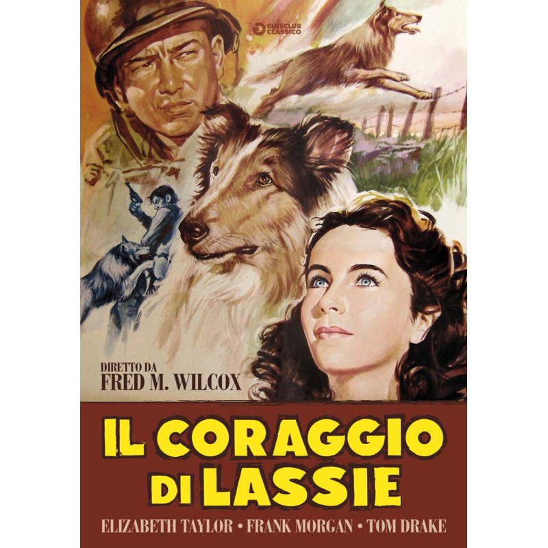 CORAGGIO DI LASSIE (IL)