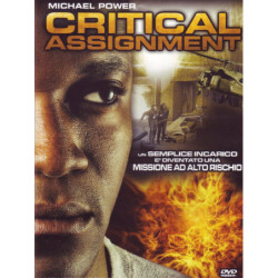 CRITICAL ASSIGNMENT (2004)
