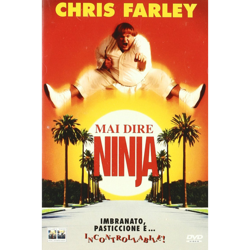 MAI DIRE NINJA