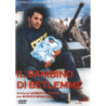 IL BAMBINO DI BETLEMME