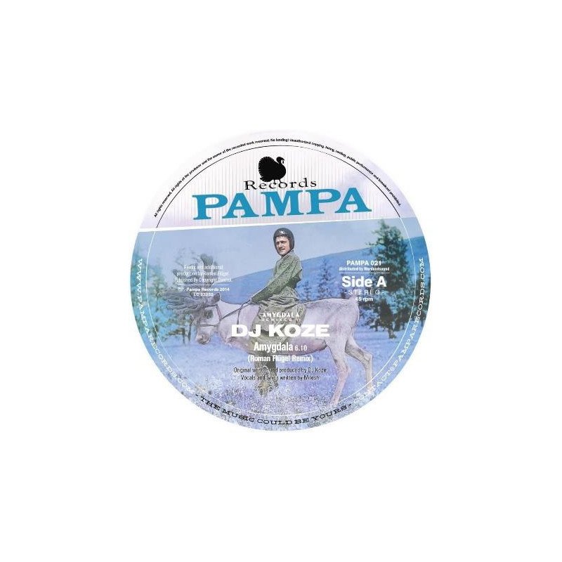 AMYGDALA (ROMAN FLUGEL/ROBAG WRUHME RMX)