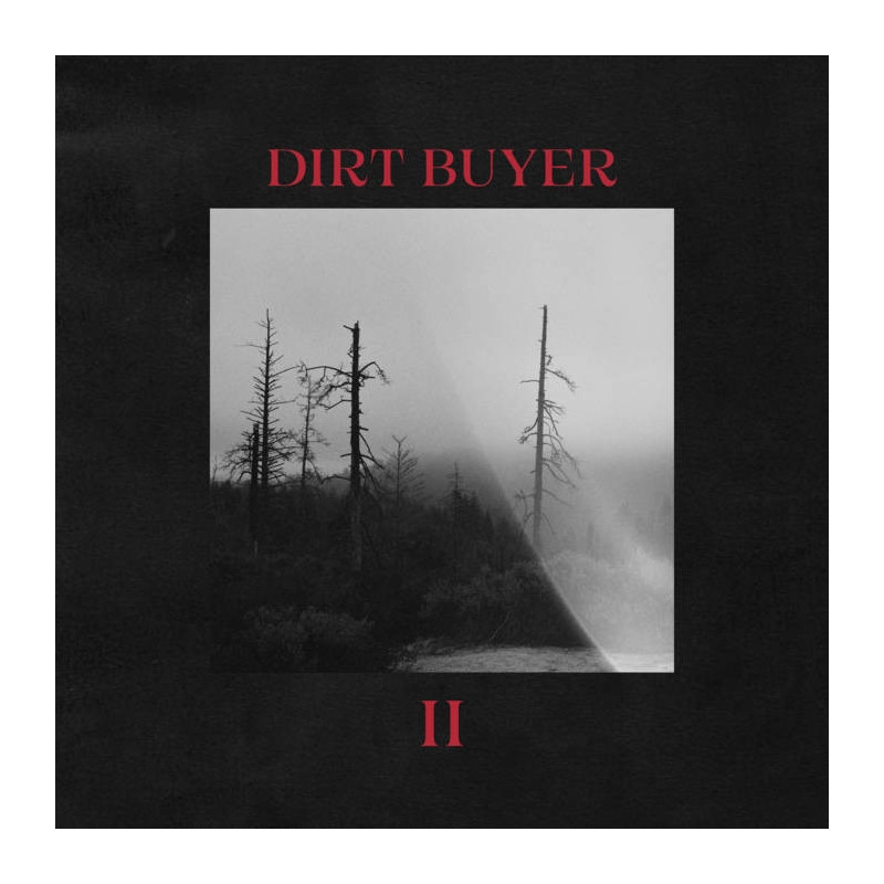 DIRT BUYER II (RED MARBLE VINYL)