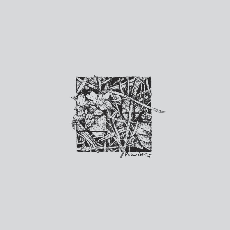 CONCEDE TO CIRCUMSTANCE