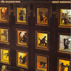 NIGHT GROOVES