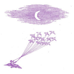 MIGRATION MAGIC