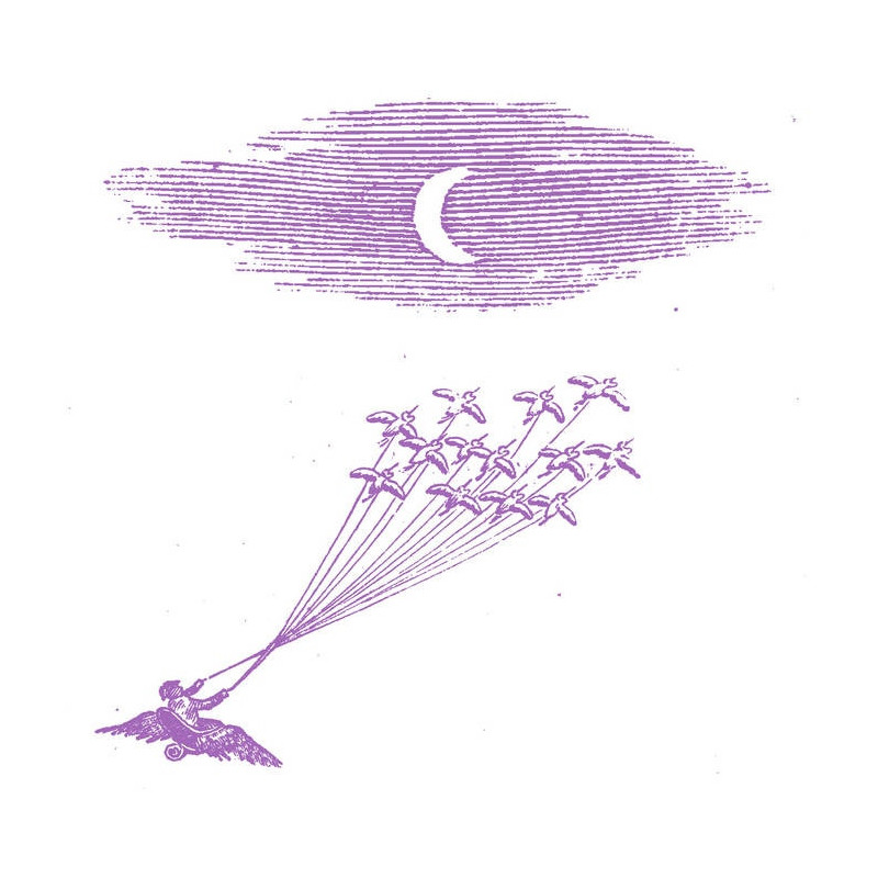 MIGRATION MAGIC