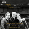 BRAHMS VIOTTI DVORAK