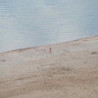 EIGHT WAVES IN SEARCH OF AN OCEAN