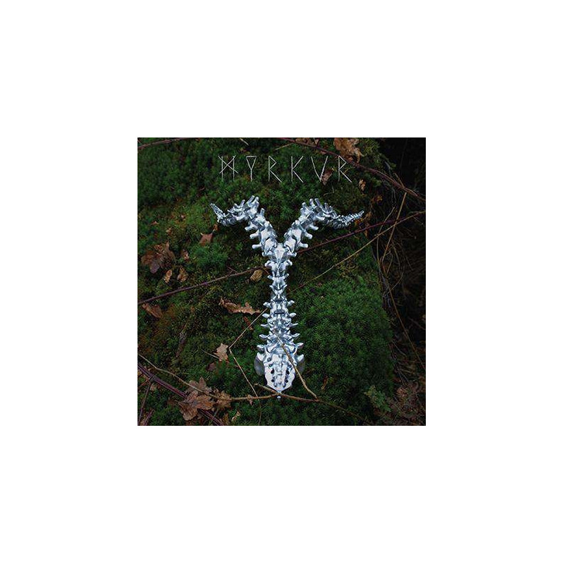 SPINE