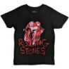 ROLLING STONES:HACNEY DIAMONDS CRACKED GLASS TONGUE