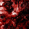 INESCAPABLE ANATOMICAL DETERIORATION