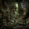 OMINOUS FLESH DISCIPLINE