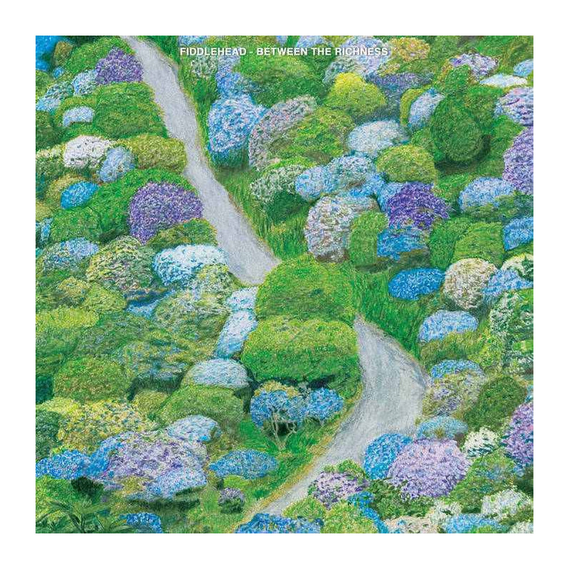 BETWEEN THE RICHNESS (VIOLET VINYL)