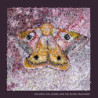 THE MOTH, THE LIZARD &  - CLEAR WHITE