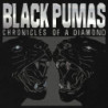 CHRONICLES OF A DIAMOND