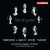 TRANSFIGURED