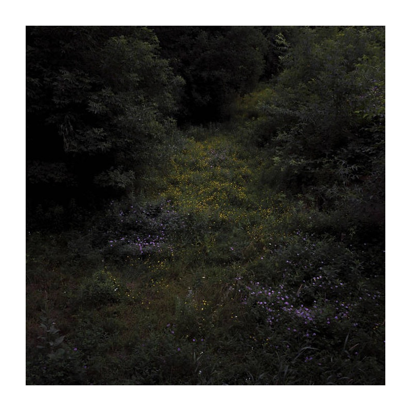 HIGHER LONELY POWER (CLOUDY BLACK VINYL)