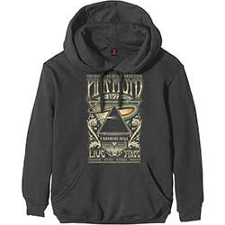 PINK FLOYD UNISEX PULLOVER HOODIE: CARNEGIE HALL POSTER (SMALL)