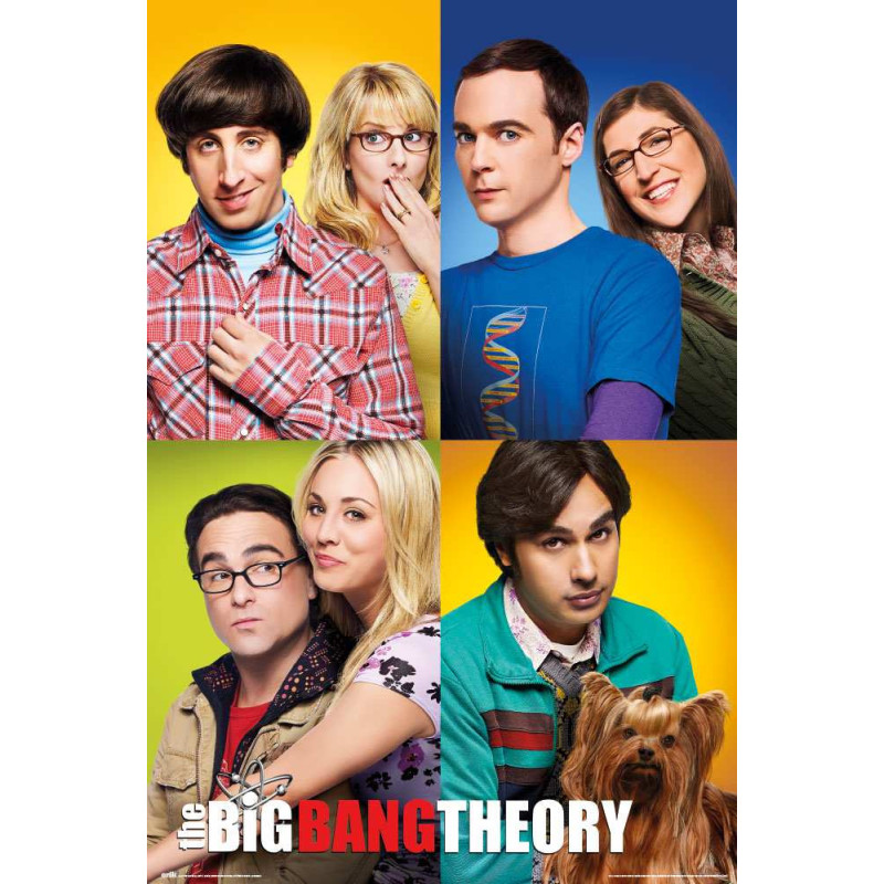 BIG BANG THEORY (THE): GRUPO ERIK - MOSAICO (POSTER 61X91,50 CM)