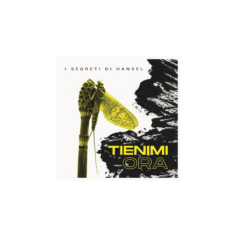 TIENIMI ORA
