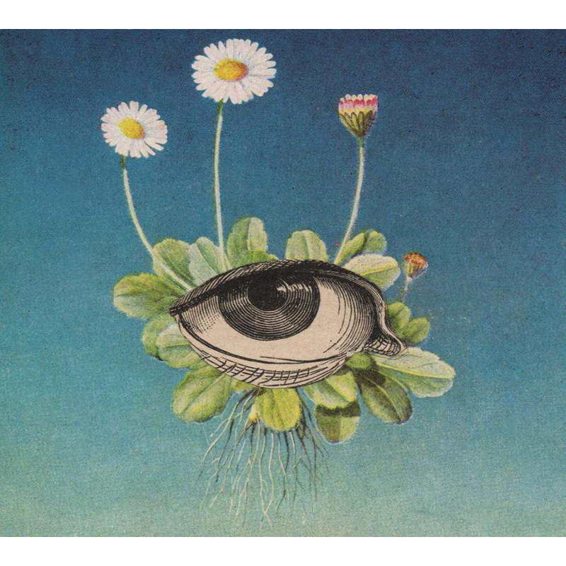 THE LIMITED CIRCLE IS PURE