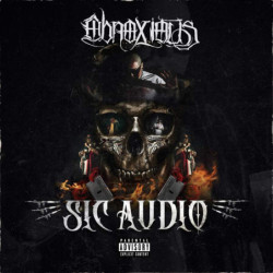 SIC AUDIO