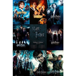 HARRY POTTER: GB EYE - COLLECTION (POSTER 91,5X61 CM)