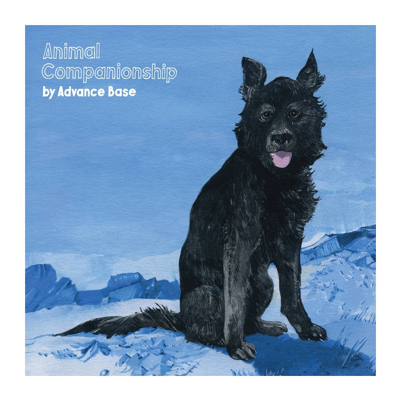 ANIMAL COMPANIONSHIP (CLEAR VINYL)
