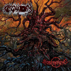 GORESPHERE