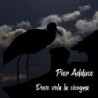 DOVE VOLA LA CICOGNA
